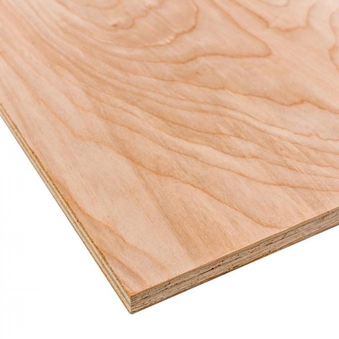 Madera contrachapada del abedul (campo común: 3/4 adentro. x 2 pie x 4 pies; Real: 0,728 adentro…